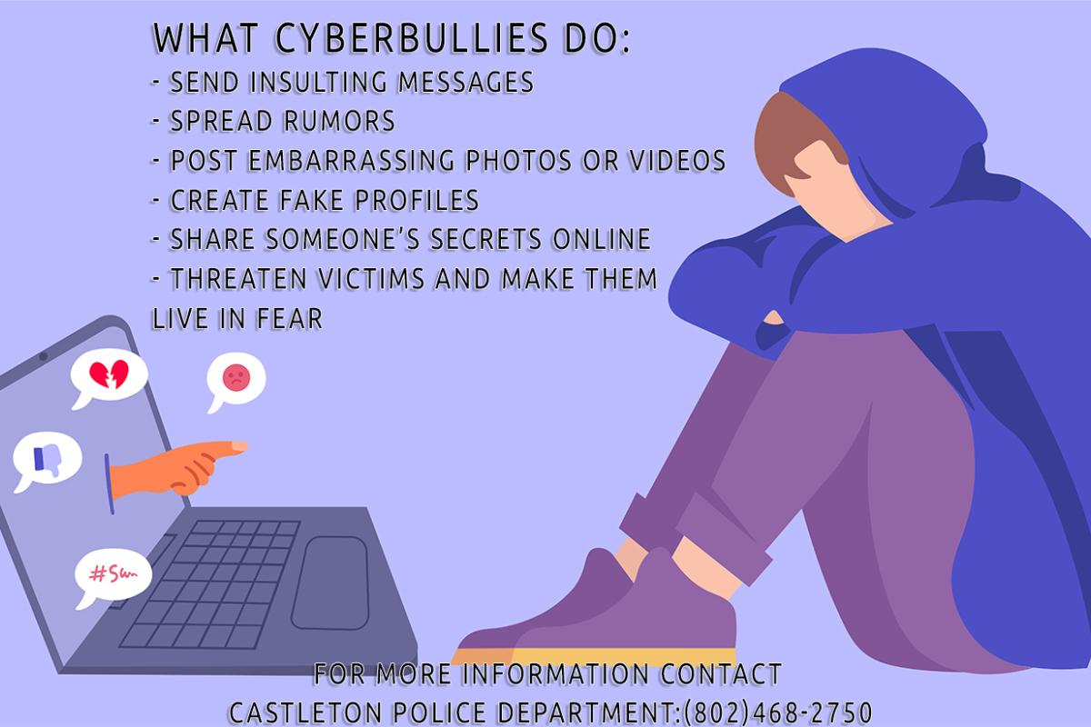 What Cyberbullies do