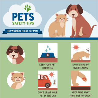 Pet safety tips