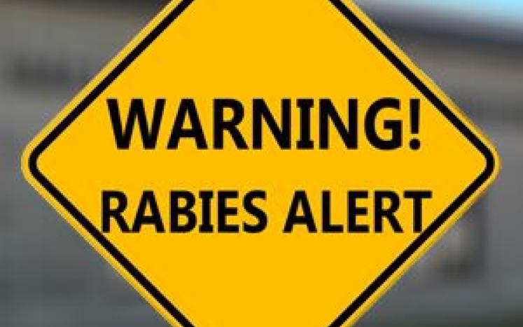 Rabies Warning